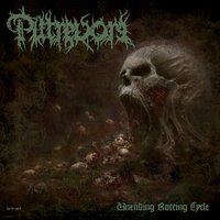 Unending Rotting Cycle