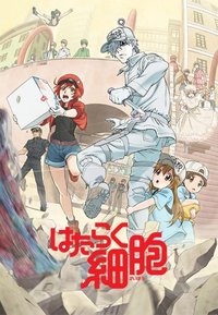 Cells at Work!