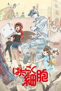 Cells at Work! Staffel 1