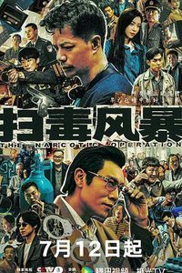 The Narcotic Operation (扫毒风暴)