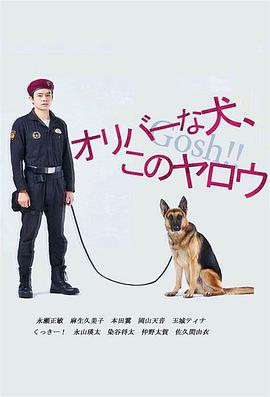 Bullets, Bones and Blocked Noses (奥莉佛是狗，（天哪！！）这家伙)