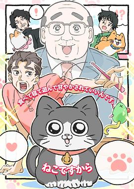 Cat Uncle: The Guy That Got Reincarnated As a Cat