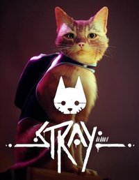 Stray
