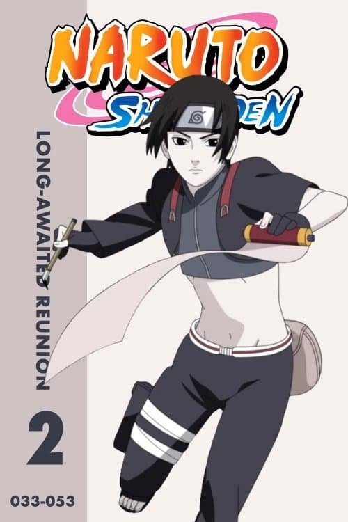 Naruto Shippuden (Die Suche nach Sasuke)