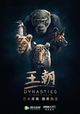 Wilde Dynastien: Die Clans der Tiere (Dynasties)