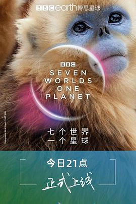 Sieben Kontinente - Ein Planet