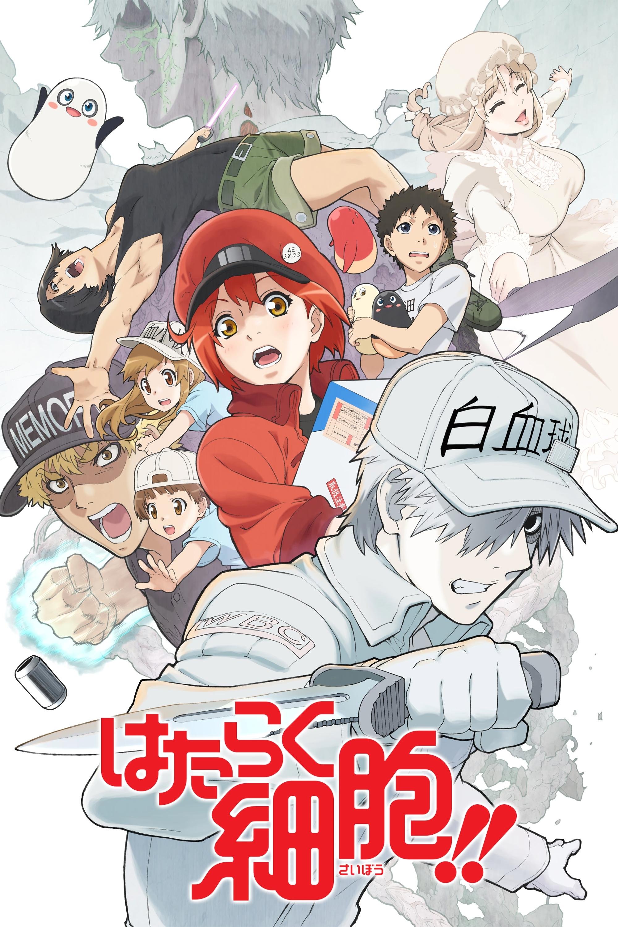 Cells at Work! Staffel 2