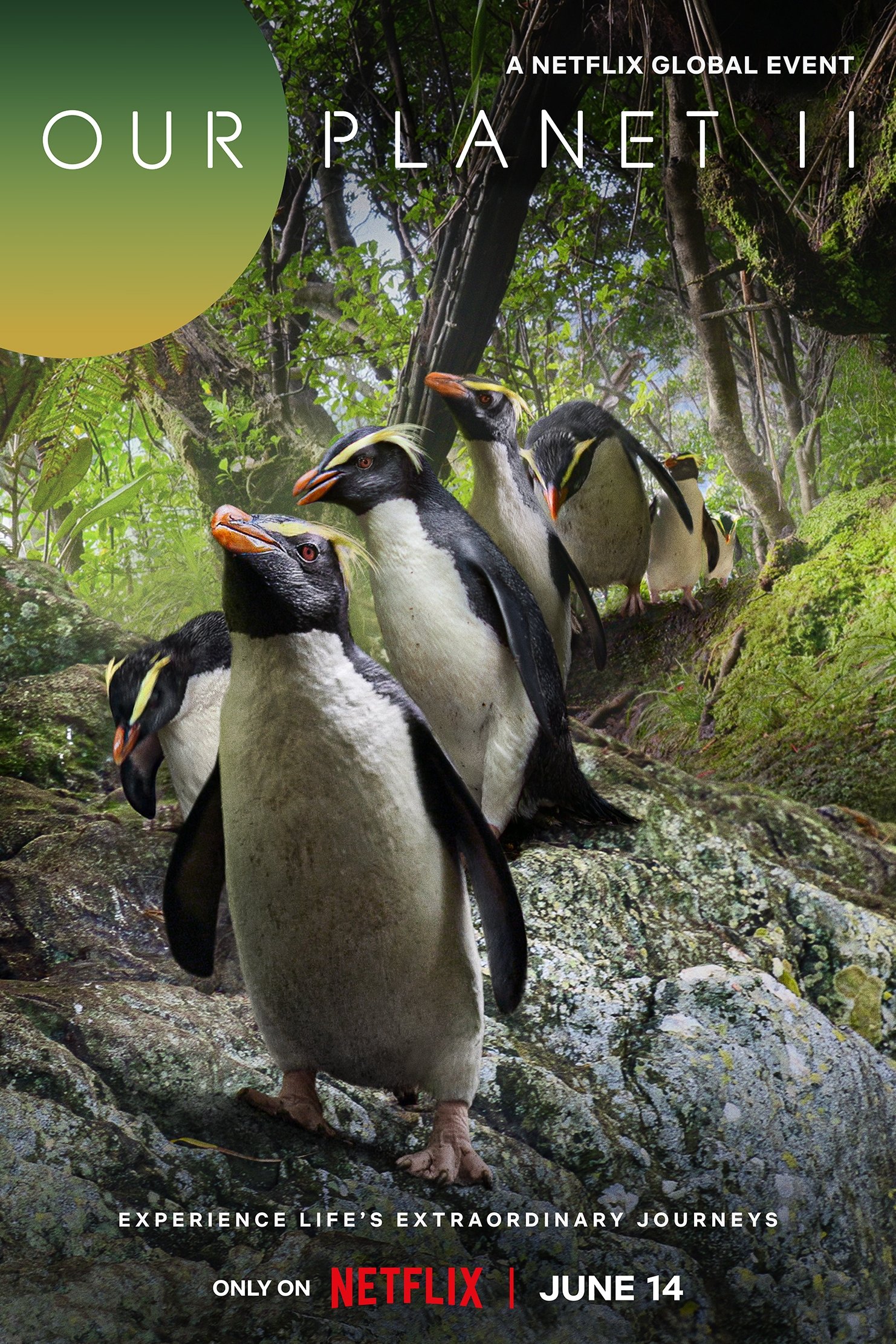 Unser Planet II