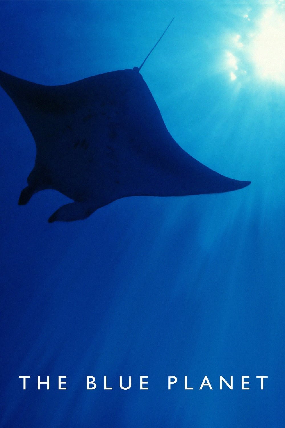 Unser blauer Planet (Extras)