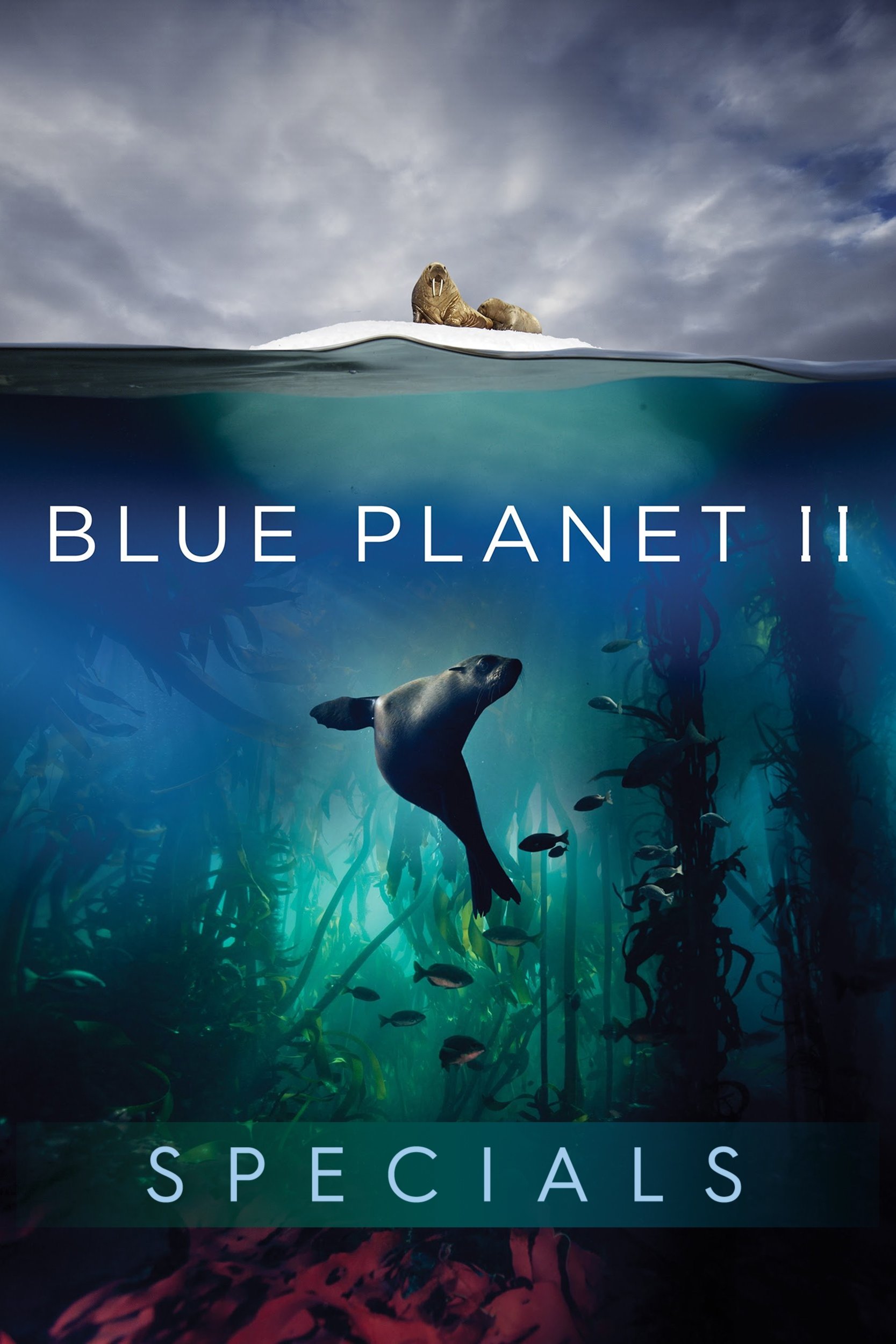 Unser blauer Planet II (Extras)