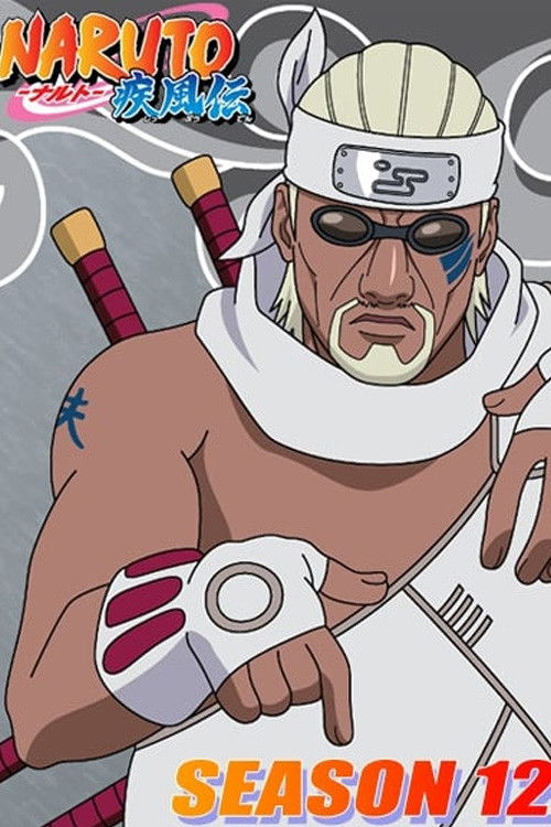 Naruto Shippuden (Bemächtigung des Kyubi und schicksalhafte Begegnungen)