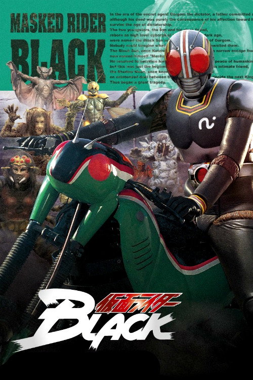 Kamen Rider Staffel 8