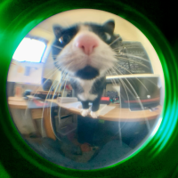 Avatar for Slimfat Jan