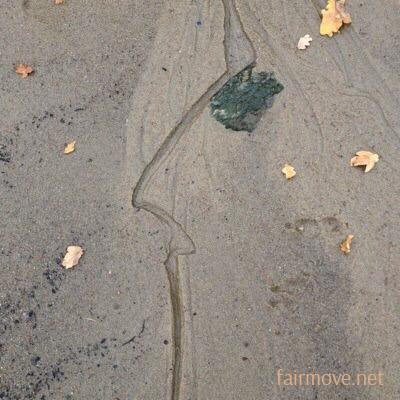 Avatar for Sofasophia