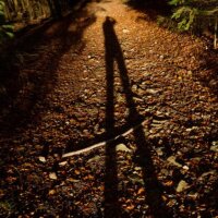 Avatar for LeadingLines