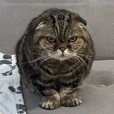 Avatar for Markus 👨‍💻